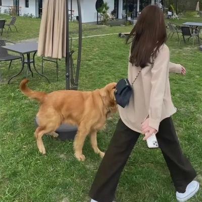 艾德私人频道